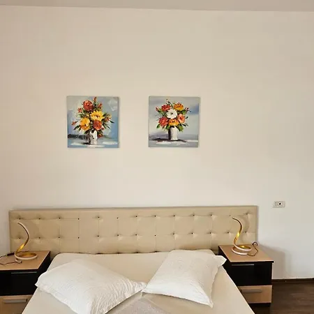 Casa Tineretului 50