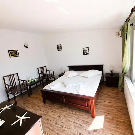 Casa Tineretului 50 Pensjonat Costinesti