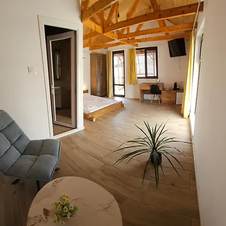 Guest house Casa Tineretului 50 Costinesti